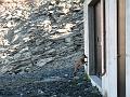 20080829_monterosa_michi 055